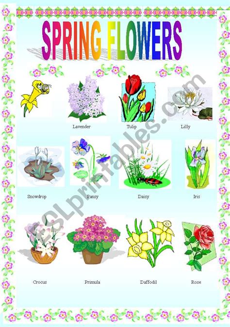 Spring Flowers ESL Worksheet By Szabone M Eva