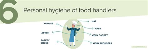 Which Hygiene Practice Is Required Of Food Service Workers Food