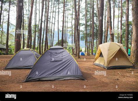 camping in forest Stock Photo - Alamy