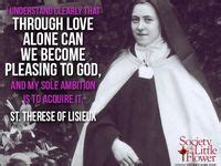 35 St Therese of Lisieux ideas thérèse of lisieux lisieux st