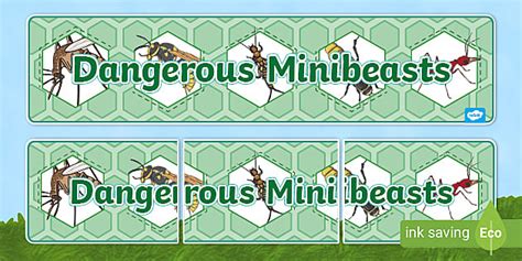 Dangerous Minibeasts Display Banner Teacher Made Twinkl