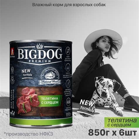 Корм влажный Зоогурман Big Dog купить по цене 1708 ₽ с доставкой в ...
