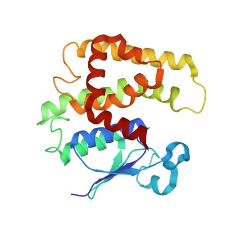 Rcsb Pdb 4ri6 Crystal Structure Of Poplar Glutathione Transferase F1