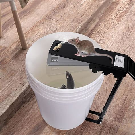 Rat Trap For House Mouse Bucket Trap Rolling Mouse Trap Walk The Plank