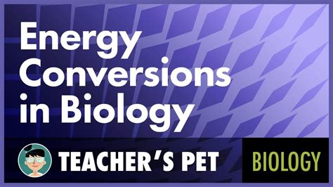 Energy Conversions In Biology Youtube