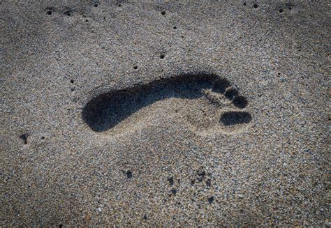 Moon Footprint Stock Photos Pictures And Royalty Free Images Istock