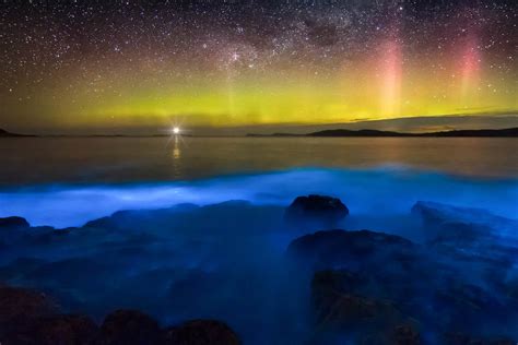 25 Bioluminescent Beaches (And Budget Hotels Nearby!)