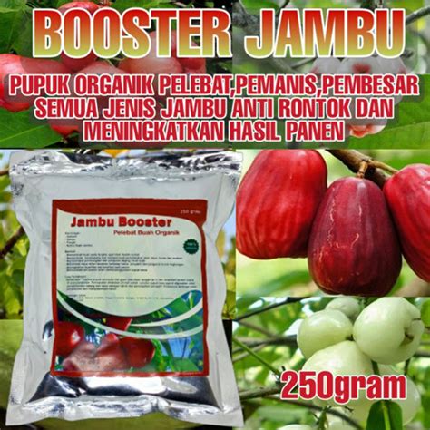 Jual Pupuk Organik Booster Jambu Air Kristal Biji Bol Dan Jamaika Kab