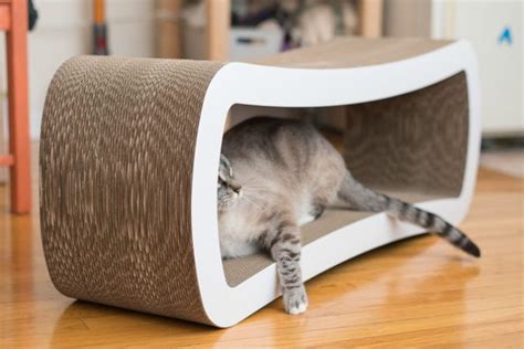 The Best Cat Beds According To Our Cats For 2021 Reviews By Wirecutter