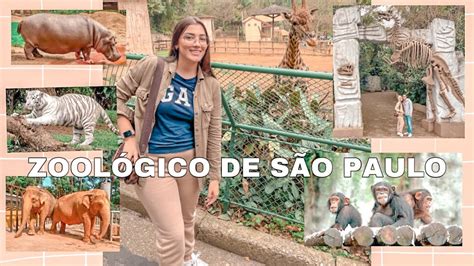 Tour No Zoologico De Sao Paulo 2022 Youtube