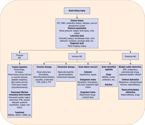 Acute Kidney Injury Chart