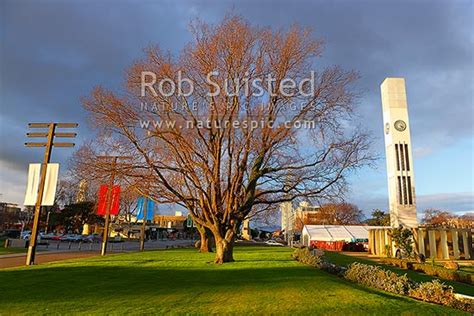 The Square In Palmerston North Town Centre The Hopwood Clock Tower In