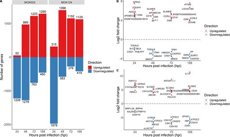 Differentially Expressed Genes In Response To S Aureus Mok023 And