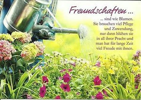 Pin Von Irmgard Zweim Ller Auf Freundschaft Zuwendung Blumen