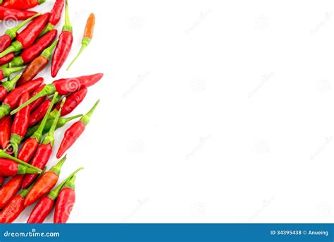 Red Hot Chili Peppers Royalty Free Stock Photos Image