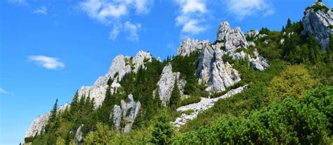 Excursie Munte Varful Batrana Oxigentour Ro