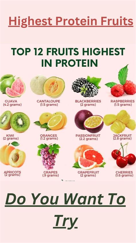 Top 12 Fruits Highest In Protein in 2024 | High protein fruit, Protein ...