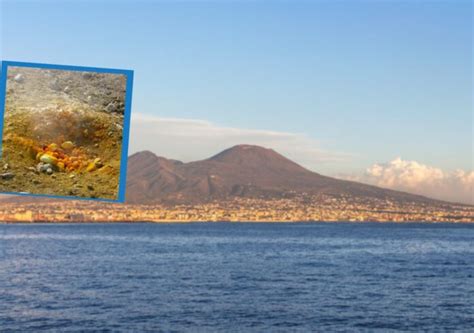 Terremoti Pozzuoli Campi Flegrei Registrati Eventi Sismici