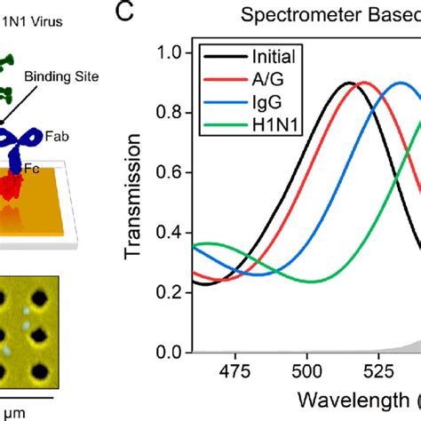 Photograph And Schematic Illustration Of A B The Handheld Plasmonic