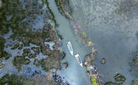 Lago Titicaca Recobra Su Esplendor Gracias A Las Lluvias En Bolivia