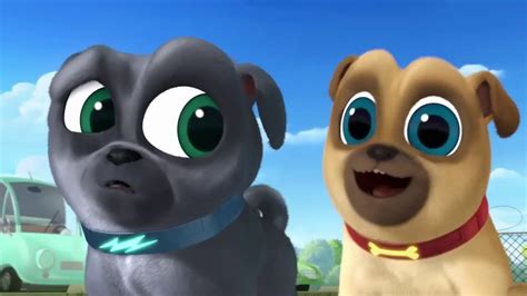 Puppy Dog Pals S02e01 A New Pup In Town Part 04 Youtube