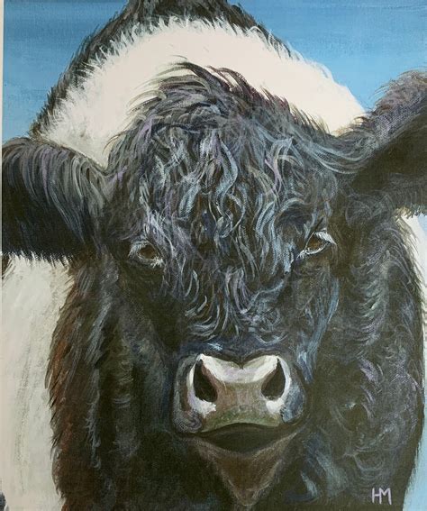 Belted Galloway Cow Oreo Cow Art Print Portrait With Blue Etsy Uk