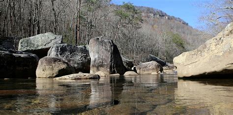 Volunteers Stake Upper North Chickamauga Creek Stocked With Trout