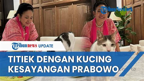 Momen Manis Titiek Bareng Prabowo Dan Bobby Kucing Kesayangan Menhan Di