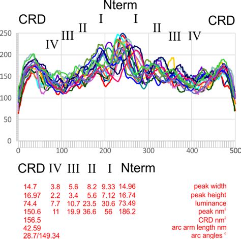 5 SP D Dodecamers Measurements Of AFM Images Thank You Science