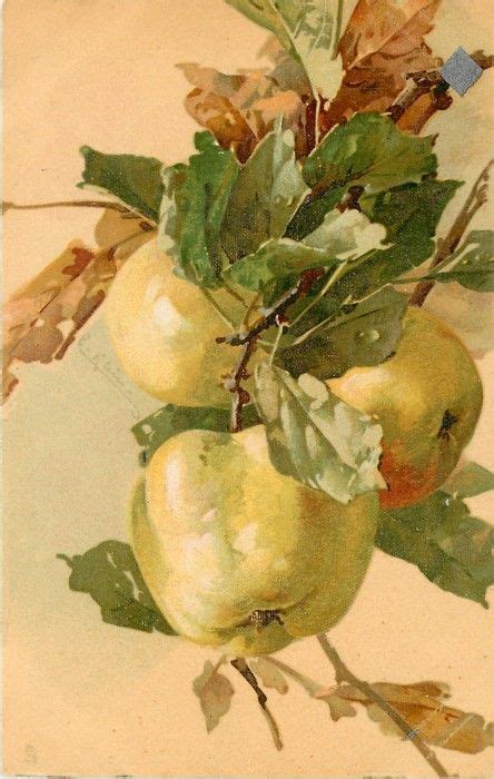 Watercolor Art Paintings Watercolor Fruit Fruit Painting China