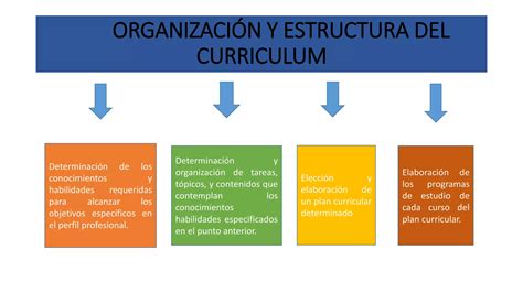 Organizacion Y Estructura Del Curriculum PPT