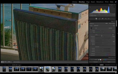 How To Use Adobe Denoise AI In Lightroom And Camera Raw PicsArt Stocks