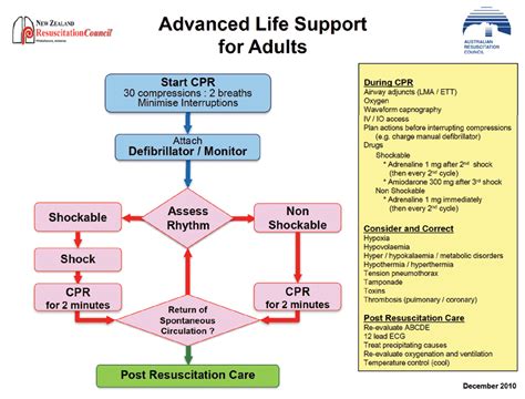 Basic And Advanced Paediatric Cardiopulmonary Resuscitation 46 Off