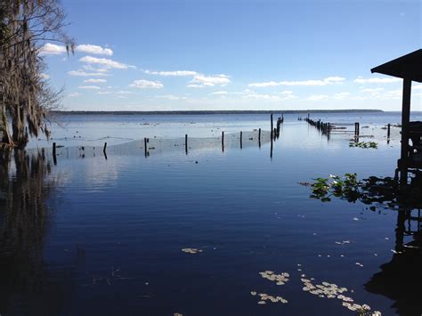 These recent arrests volusia county reports shocked the town