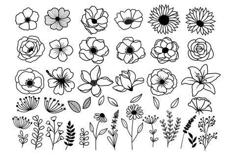 Flores Svg Paquete De Flores Svg Flores Silvestres Svg Flores Y