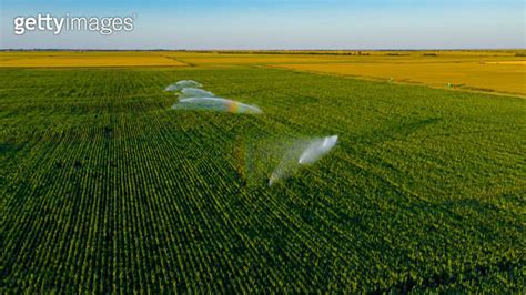 Aerial View On High Pressure Agricultural Water Sprinkler Sprayer