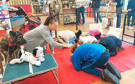 À Vannes pour éviter accidents et morsures les enfants doivent dire