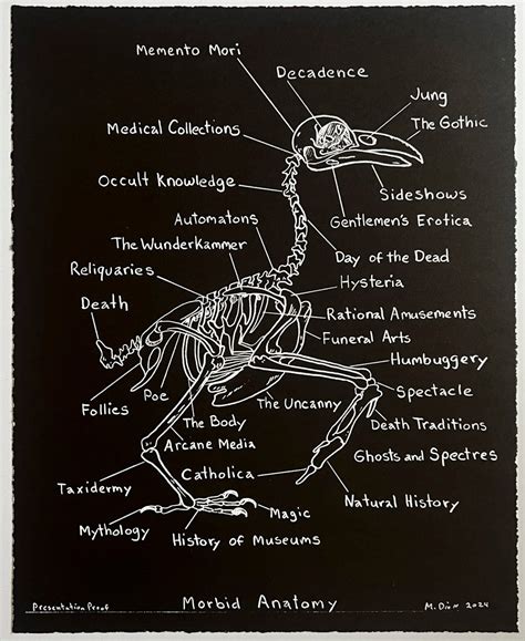 Dion Print — Morbid Anatomy