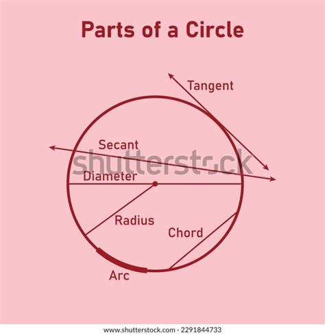 Parts Circle Diagram Mathematics Tangent Secant Stock Vector Royalty Free 2291844733