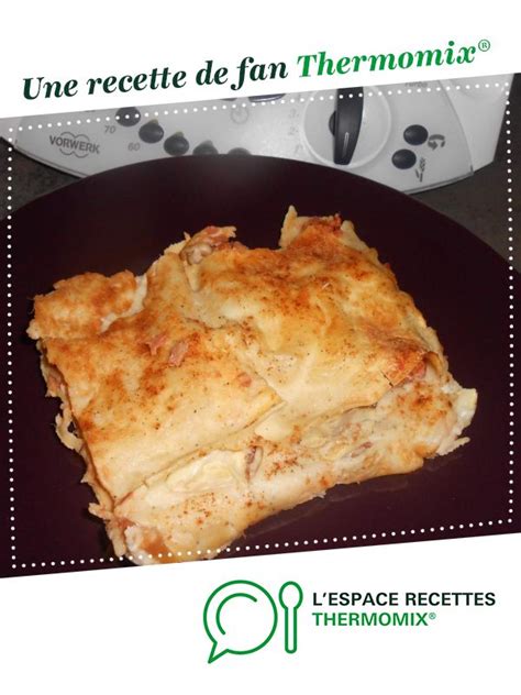 Lasagnes Au Thon Et L Gumes Par Loless Une Recette De Fan Retrouver