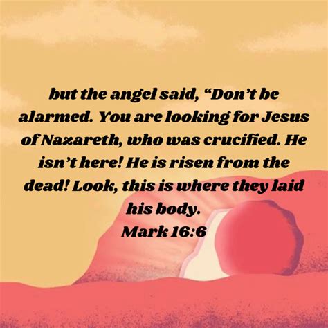 Mark 166 But The Angel Said Dont Be Alarmed You Are Looking For