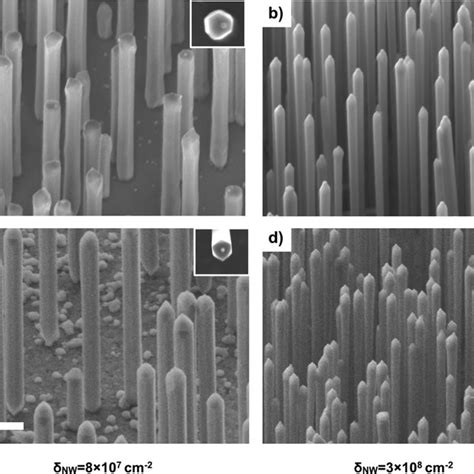 Fe Sem Micrographs Tilt View Same Magnification Of Gaasalgaas