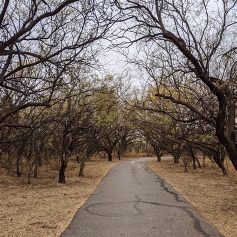 Agua Caliente Park – Tucson, Arizona - Atlas Obscura