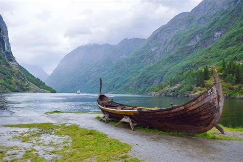 Vikings In The Americas Greenland Trees Reveal Early Explorers Sofx