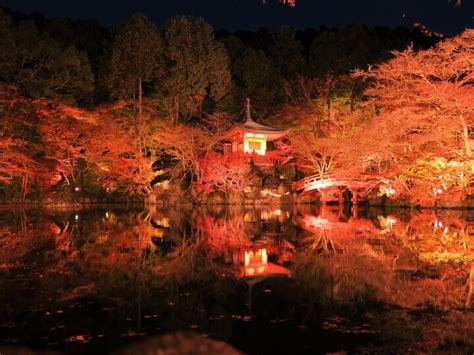 京都醍醐寺秋期夜間拝観金堂五重塔弁天堂ライトアップ