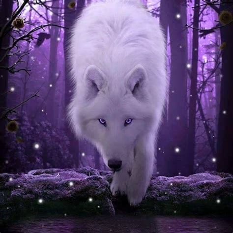 White and Purple Wolf Logo - LogoDix