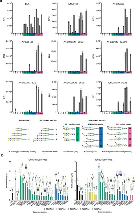 Receptor Binding Specificities Of Representative A H3n2 Viruses Using