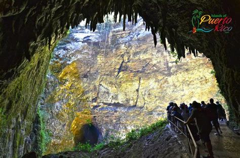 Camuy River Cave Park - 1 of the Wonders of Puerto Rico - Can't Miss Attraction - Hours, map ...