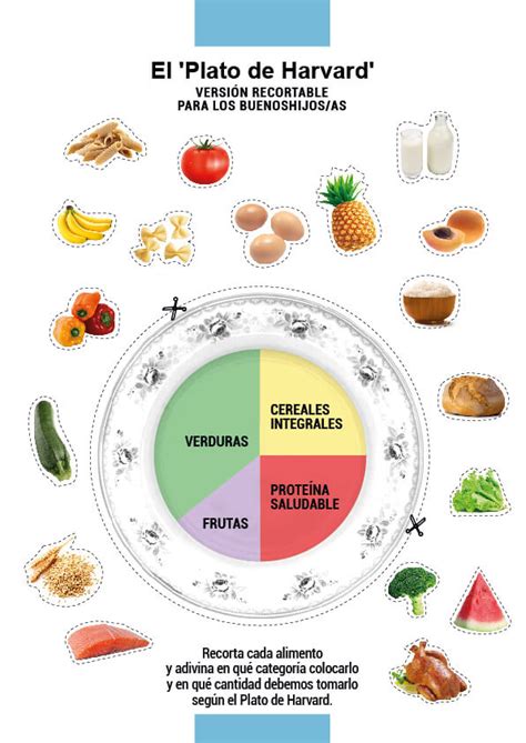 El Plato De Harvard Y Las Claves Para Comer Saludable Club De Malasmadres