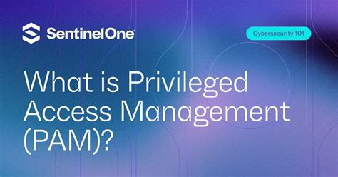 What Is Privileged Access Management Pam Sentinelone